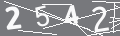 capsa